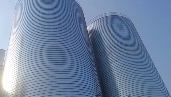 兴化2座混凝土高架卷板仓